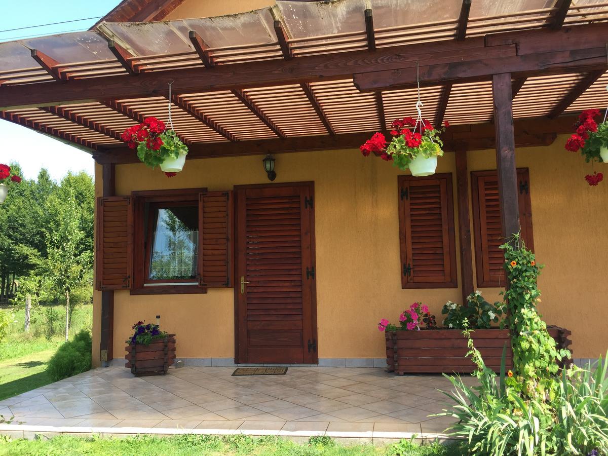 סובאטה Hanga Apartments מראה חיצוני תמונה